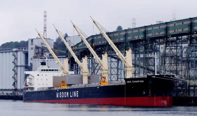 AMIS CHAMPION Bulk Carrier IMO 9636369 photo 8
