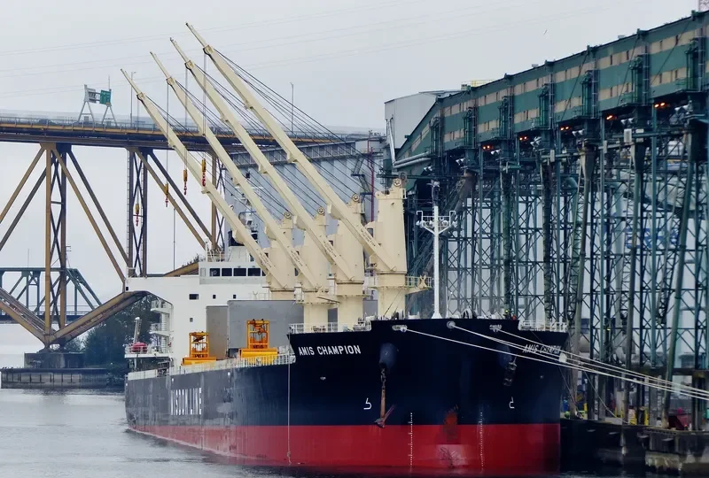 AMIS CHAMPION Bulk Carrier IMO 9636369 photo 9