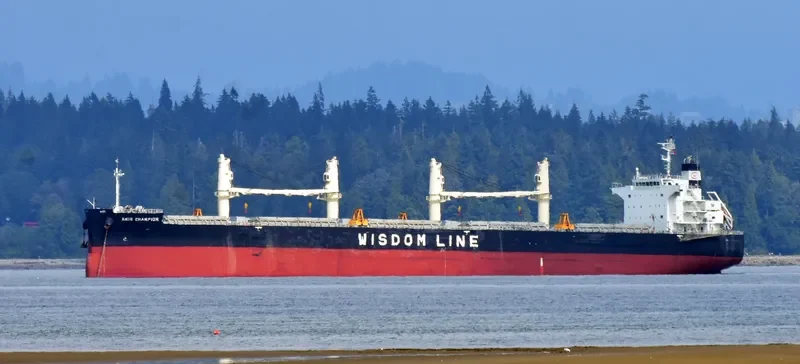 AMIS CHAMPION Bulk Carrier IMO 9636369 photo 10