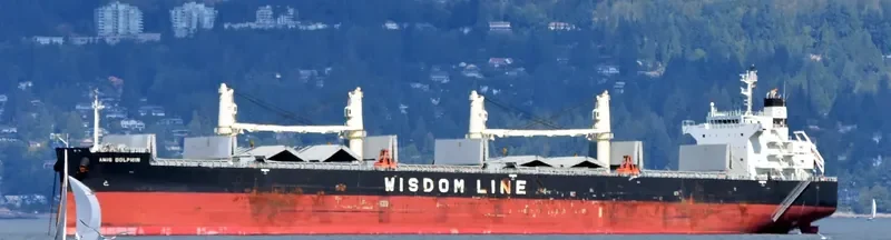 AMIS DOLPHIN Bulk Carrier IMO 9636371