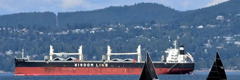 AMIS DOLPHIN Bulk Carrier IMO 9636371 photo 2