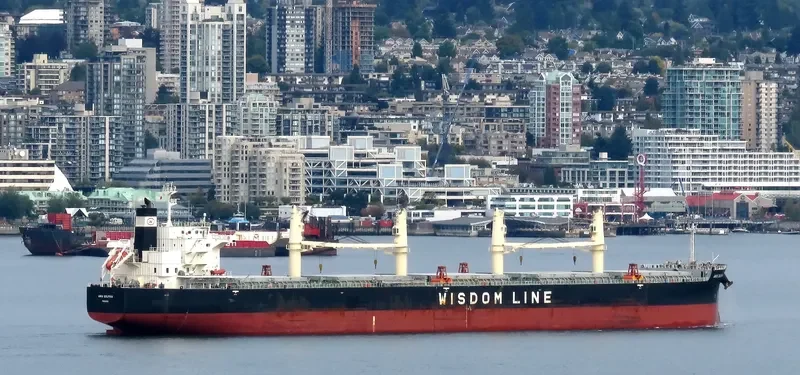 AMIS DOLPHIN Bulk Carrier IMO 9636371 photo 3