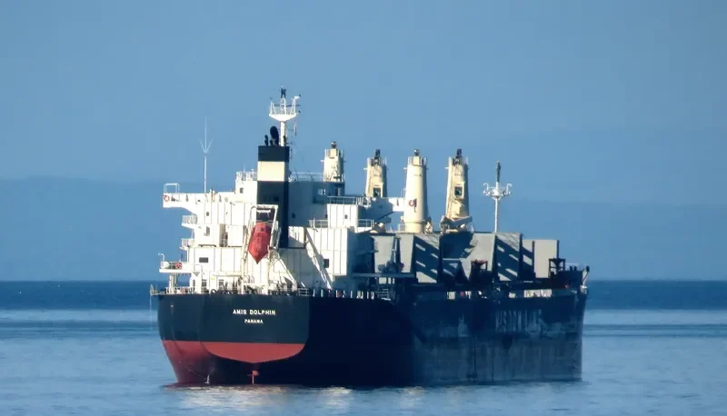AMIS DOLPHIN Bulk Carrier IMO 9636371 photo 4