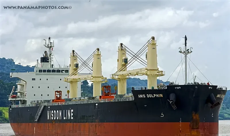 AMIS DOLPHIN Bulk Carrier IMO 9636371 photo 5