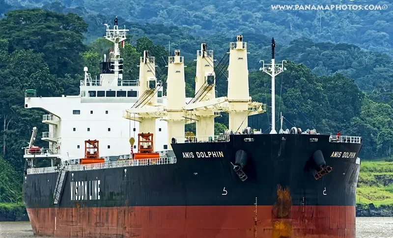 AMIS DOLPHIN Bulk Carrier IMO 9636371 photo 6
