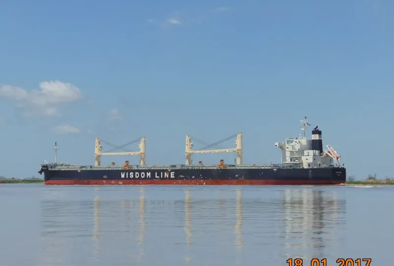 AMIS DOLPHIN Bulk Carrier IMO 9636371 photo 7