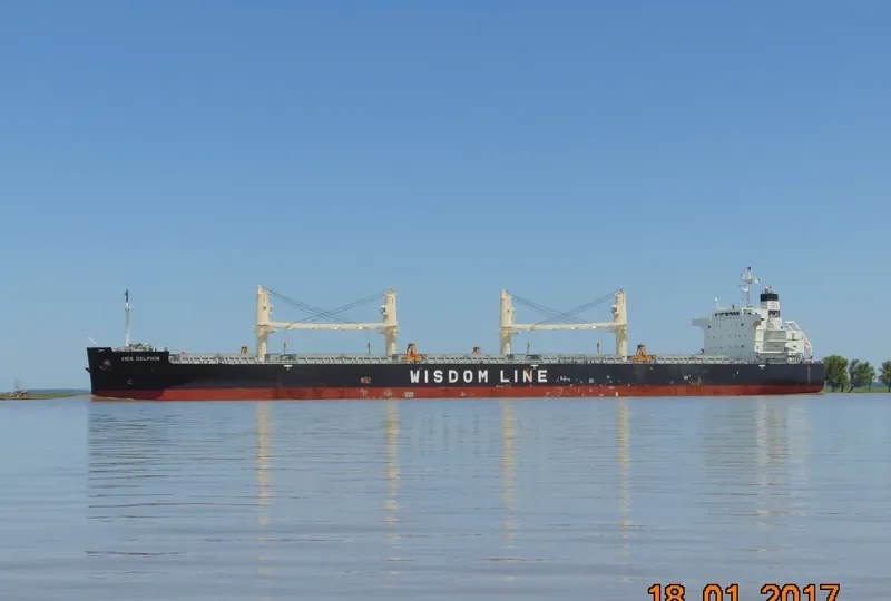 AMIS DOLPHIN Bulk Carrier IMO 9636371 photo 8