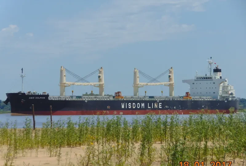 AMIS DOLPHIN Bulk Carrier IMO 9636371 photo 9