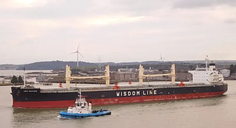 AMIS DOLPHIN Bulk Carrier IMO 9636371 photo 10