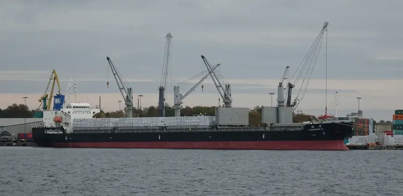 COREWISE OL Bulk Carrier IMO 9636395