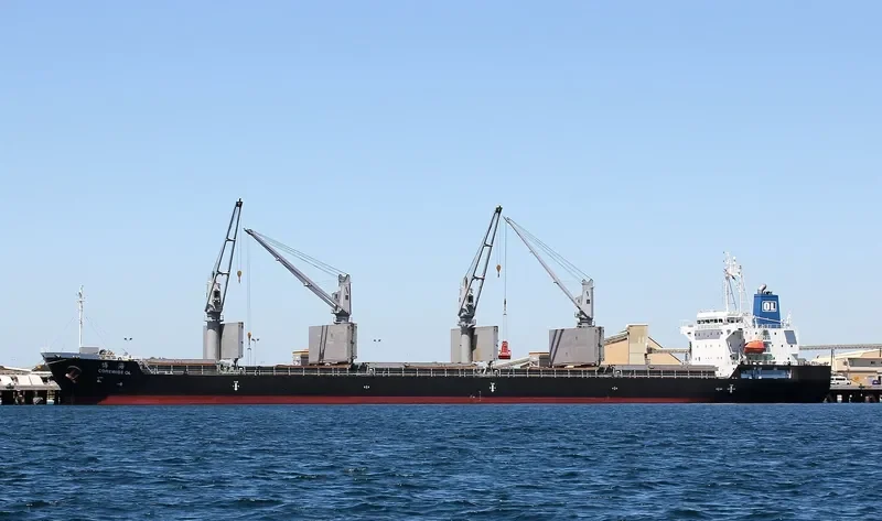 COREWISE OL Bulk Carrier IMO 9636395 photo 2