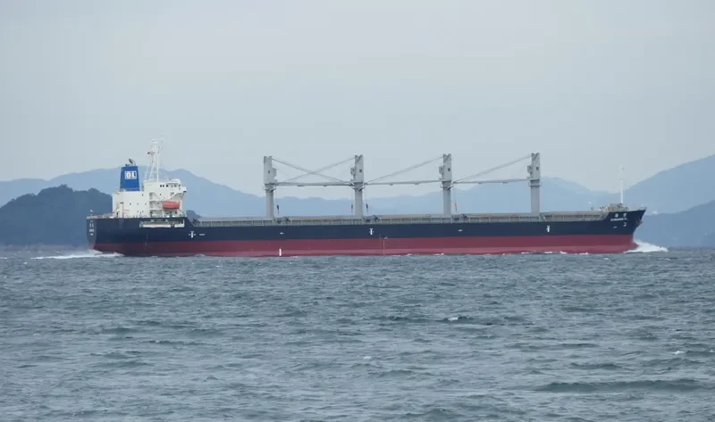 COREWISE OL Bulk Carrier IMO 9636395 photo 4
