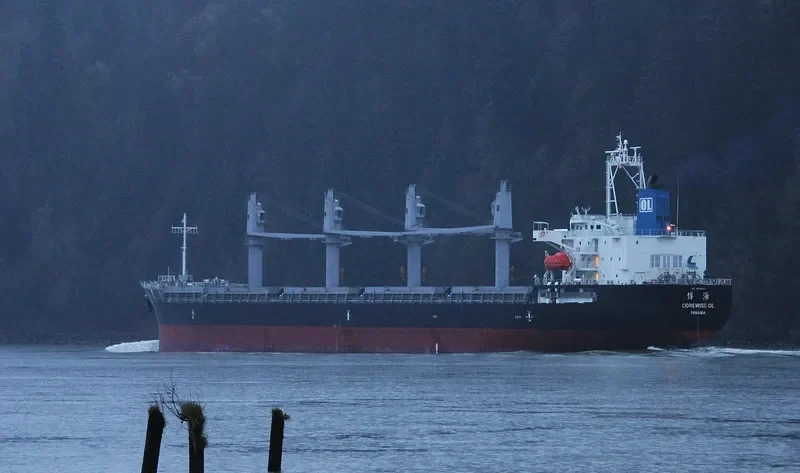 COREWISE OL Bulk Carrier IMO 9636395 photo 7