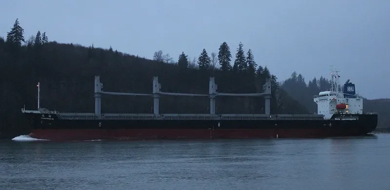 COREWISE OL Bulk Carrier IMO 9636395 photo 8