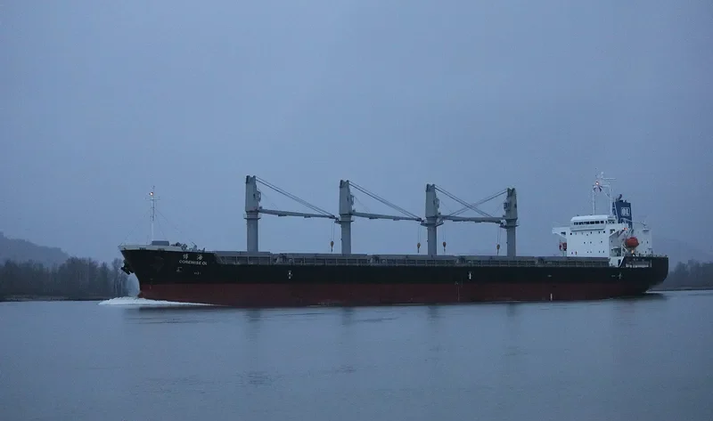 COREWISE OL Bulk Carrier IMO 9636395 photo 9