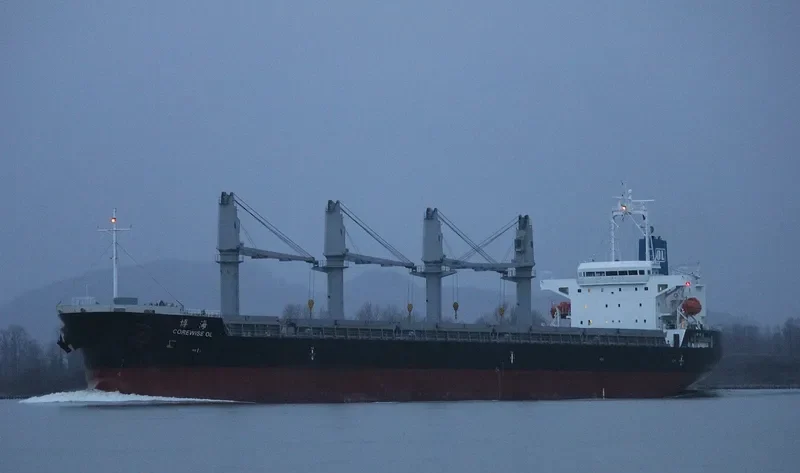 COREWISE OL Bulk Carrier IMO 9636395 photo 10