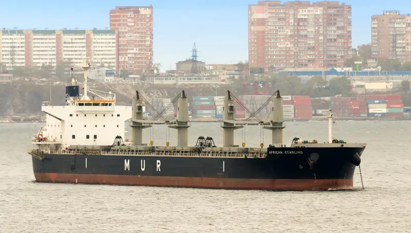 AFRICAN STARLING Bulk Carrier IMO 9636436 photo 2