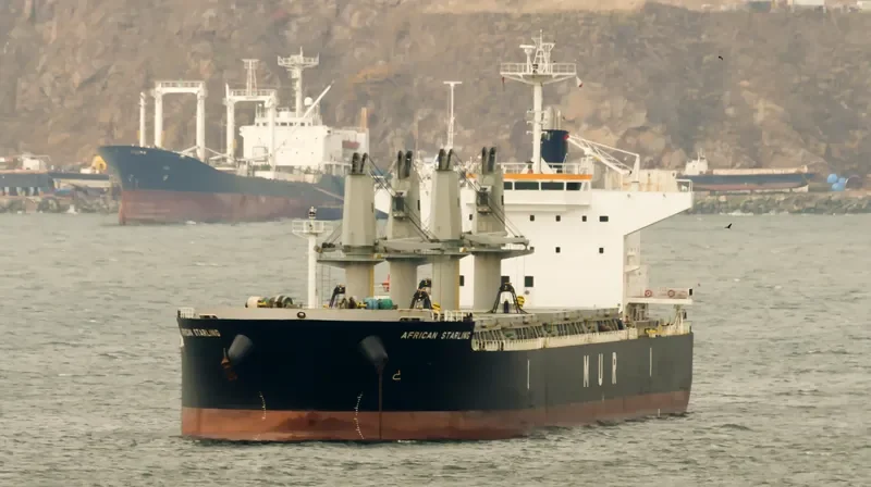 AFRICAN STARLING Bulk Carrier IMO 9636436 photo 3