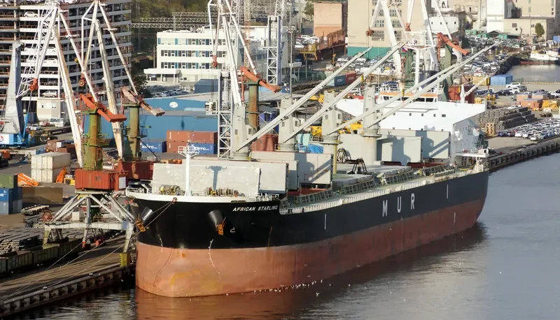 AFRICAN STARLING Bulk Carrier IMO 9636436 photo 4