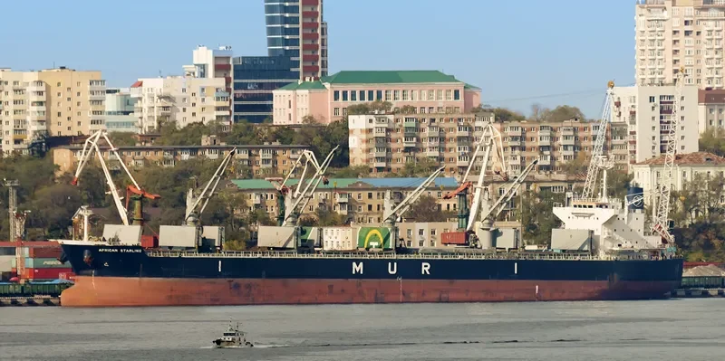 AFRICAN STARLING Bulk Carrier IMO 9636436 photo 5