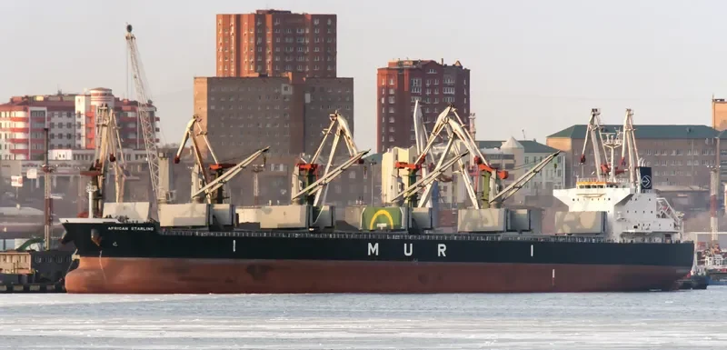 AFRICAN STARLING Bulk Carrier IMO 9636436 photo 6