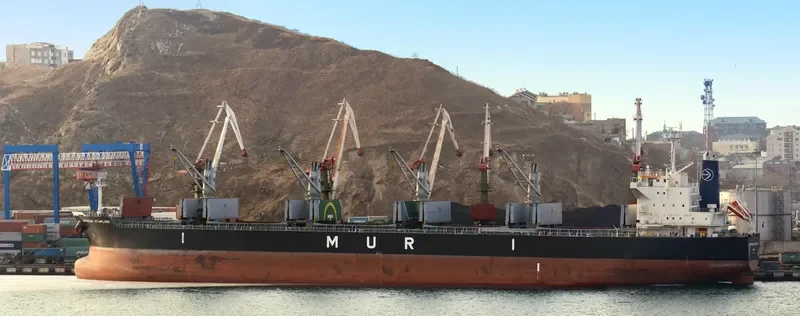 AFRICAN STARLING Bulk Carrier IMO 9636436 photo 7