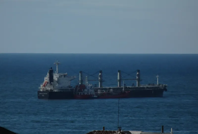 AFRICAN STARLING Bulk Carrier IMO 9636436 photo 8