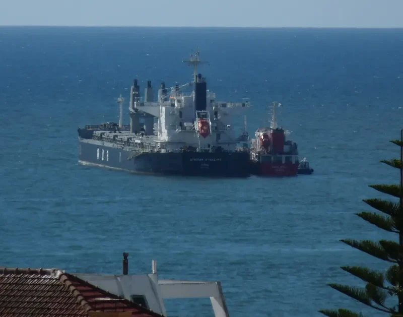 AFRICAN STARLING Bulk Carrier IMO 9636436 photo 9