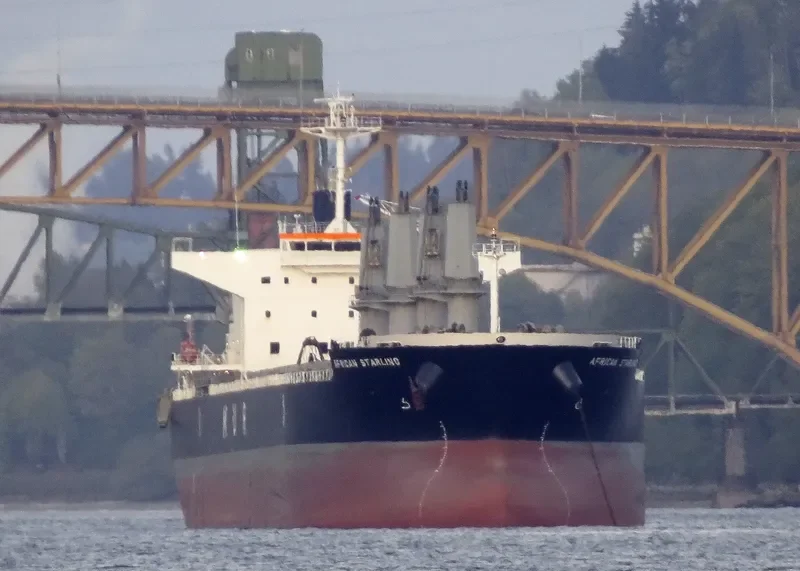AFRICAN STARLING Bulk Carrier IMO 9636436 photo 10