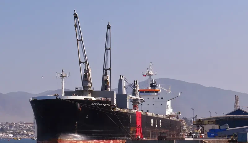 AFRICAN PUFFIN Bulk Carrier IMO 9636448