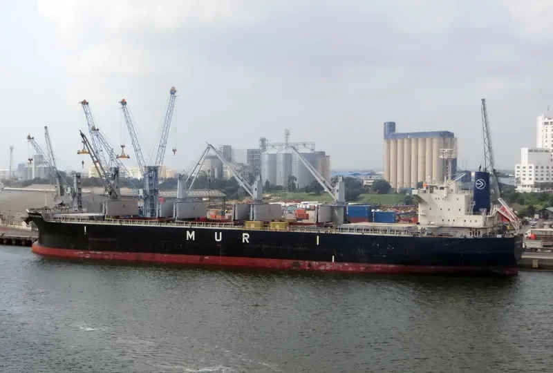 AFRICAN PUFFIN Bulk Carrier IMO 9636448 photo 2