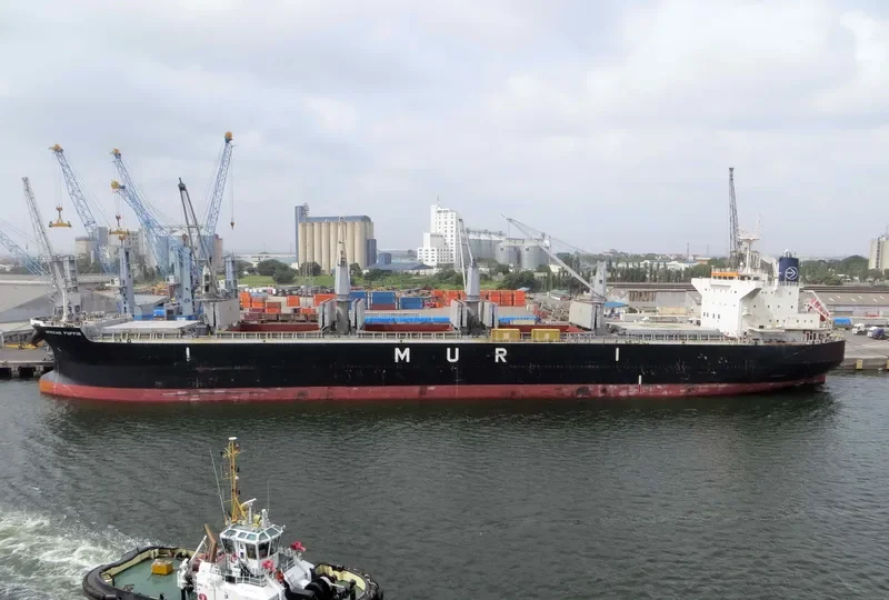 AFRICAN PUFFIN Bulk Carrier IMO 9636448 photo 3