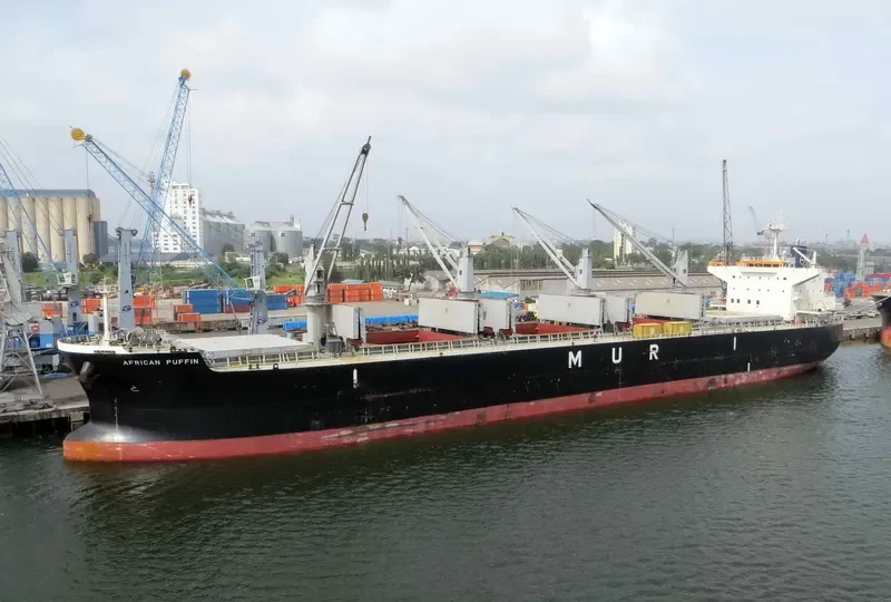AFRICAN PUFFIN Bulk Carrier IMO 9636448 photo 4