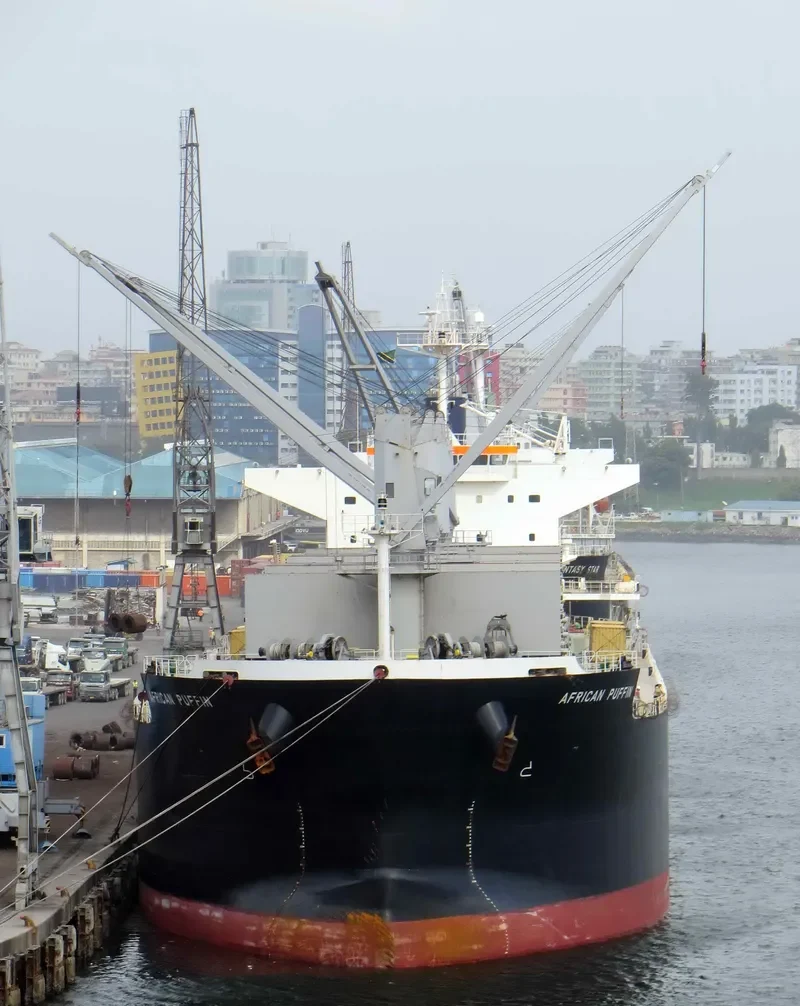 AFRICAN PUFFIN Bulk Carrier IMO 9636448 photo 5