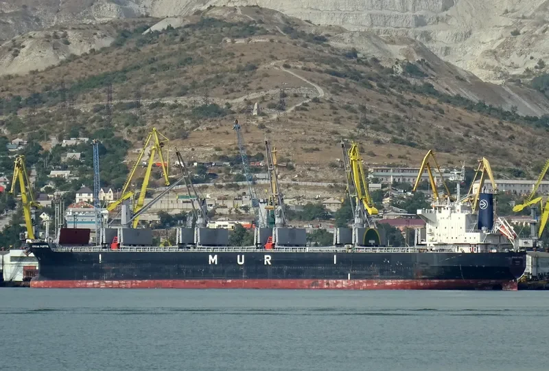 AFRICAN PUFFIN Bulk Carrier IMO 9636448 photo 6