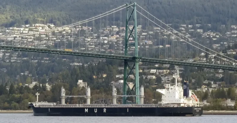 AFRICAN PUFFIN Bulk Carrier IMO 9636448 photo 7