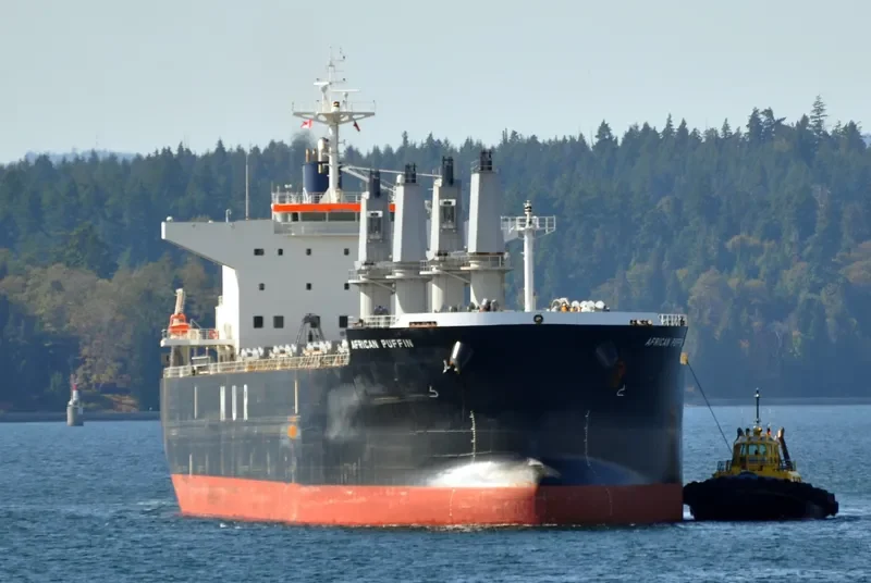 AFRICAN PUFFIN Bulk Carrier IMO 9636448 photo 8