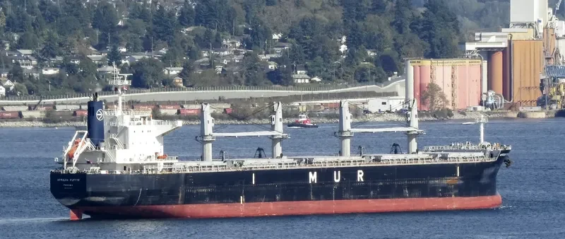 AFRICAN PUFFIN Bulk Carrier IMO 9636448 photo 9