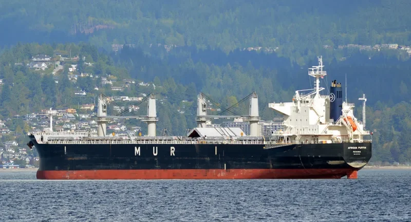 AFRICAN PUFFIN Bulk Carrier IMO 9636448 photo 10