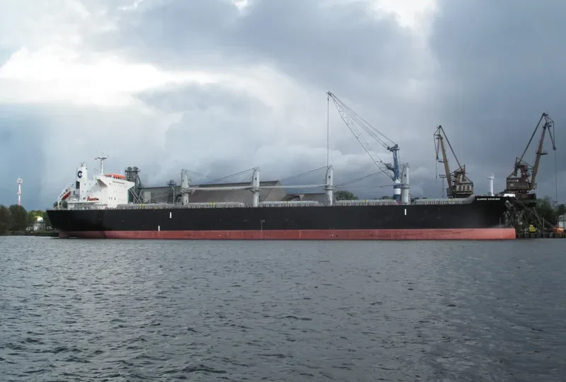 AFRICAN LION Bulk Carrier IMO 9636450