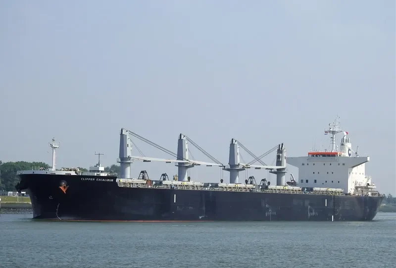 AFRICAN LION Bulk Carrier IMO 9636450 photo 2