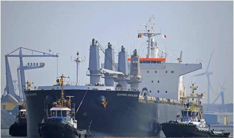 AFRICAN LION Bulk Carrier IMO 9636450 photo 3