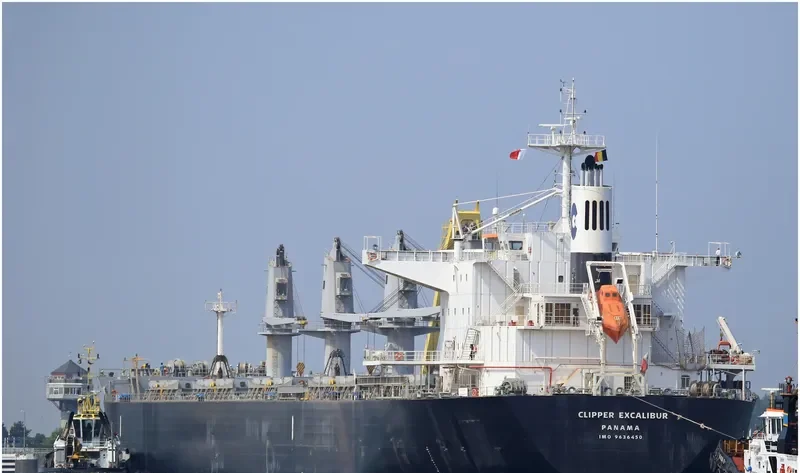 AFRICAN LION Bulk Carrier IMO 9636450 photo 4