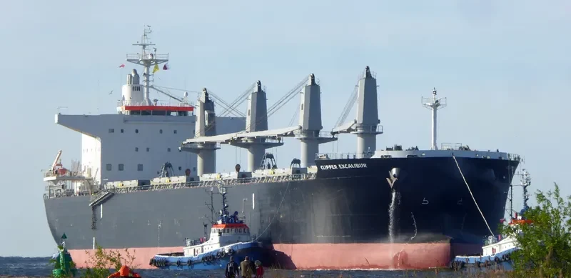 AFRICAN LION Bulk Carrier IMO 9636450 photo 5