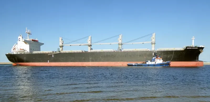 AFRICAN LION Bulk Carrier IMO 9636450 photo 6