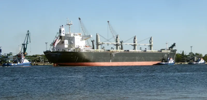 AFRICAN LION Bulk Carrier IMO 9636450 photo 7