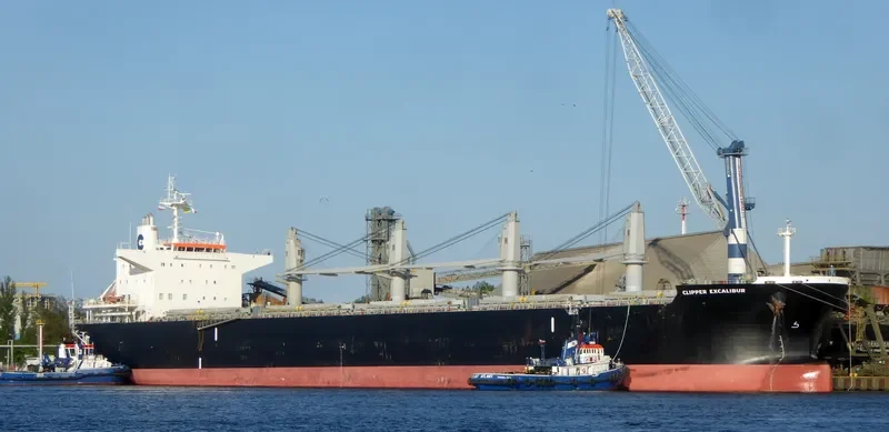 AFRICAN LION Bulk Carrier IMO 9636450 photo 8