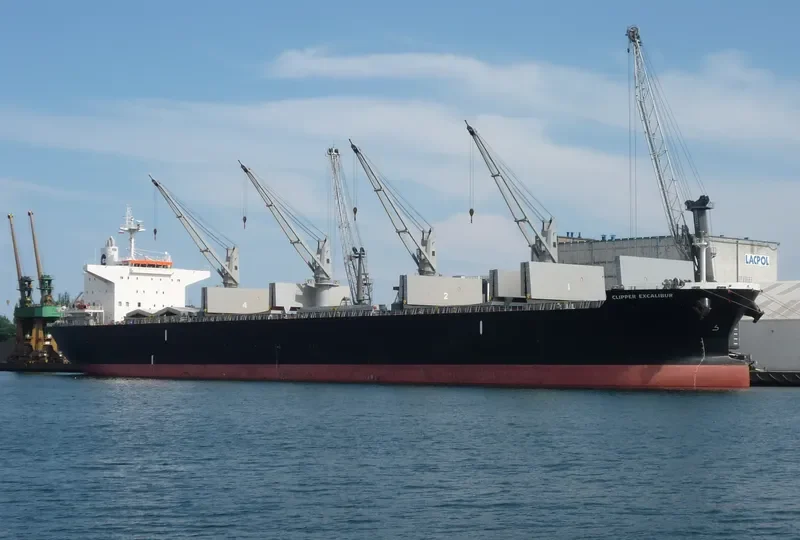 AFRICAN LION Bulk Carrier IMO 9636450 photo 9
