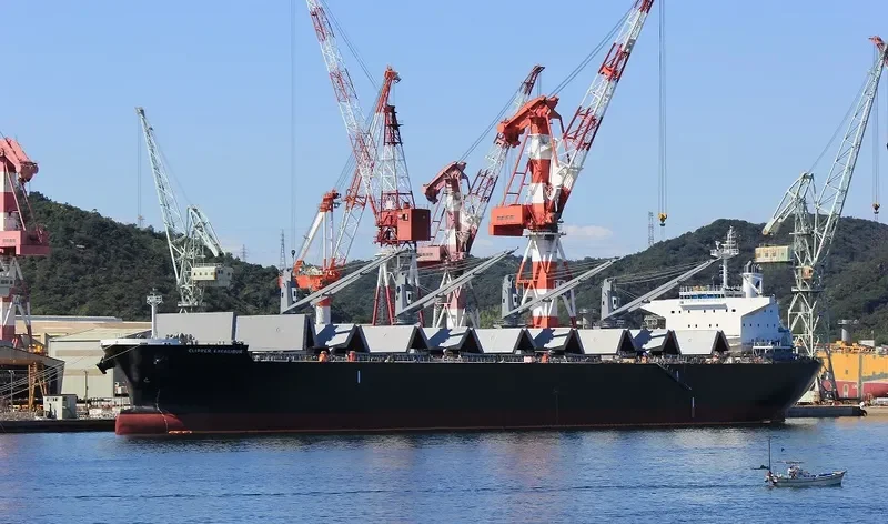 AFRICAN LION Bulk Carrier IMO 9636450 photo 10