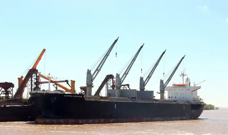 AFRICAN CHEETAH Bulk Carrier IMO 9636462